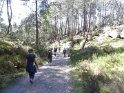 2014-06-05 16-45-21 Foret de Fontainebleau FGn